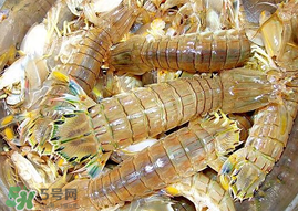 蝦爬子能冷凍嗎？蝦爬子可以冷藏嗎？