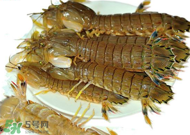 蝦爬子能冷凍嗎？蝦爬子可以冷藏嗎？