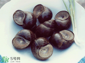 田螺不能和什么一起吃？田螺和什么不能一起吃？