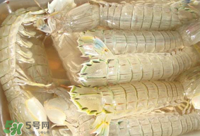 蝦爬子綠色怎么回事？蝦爬子變黑還能吃嗎？