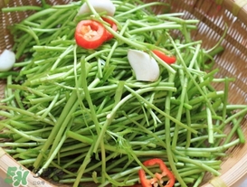 泥蒿怎么做好吃？泥蒿做法