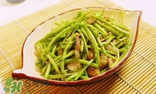 蘆蒿與茼蒿有什么區(qū)別？蘆蒿和茼蒿的區(qū)別