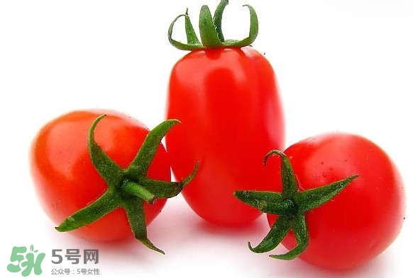 圣女果是水果還是蔬菜？圣女果屬于蔬菜還是水果