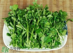 哺乳期能吃西洋菜嗎？哺乳期可以吃西洋菜嗎