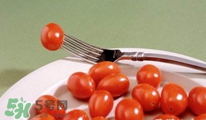 圣女果是什么？圣女果是西紅柿嗎