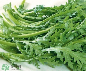 蘆蒿與茼蒿有什么區(qū)別？蘆蒿和茼蒿的區(qū)別