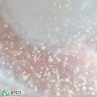 資生堂悅薇和怡麗絲爾哪個(gè)好？資生堂悅薇和怡麗絲爾對(duì)比