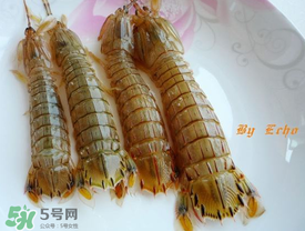 蝦爬子能放多久？蝦爬子怎么保存時間長？