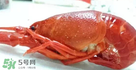 蝦子哪些部位不能吃？蝦子哪些地方不能吃