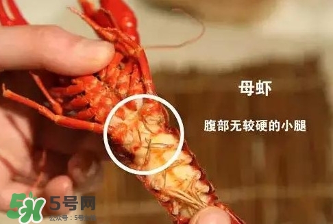 蝦子怎么吃？蝦子的吃法