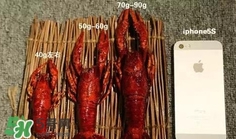 蝦子怎么吃？蝦子的吃法