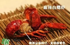 蝦子怎么吃？蝦子的吃法
