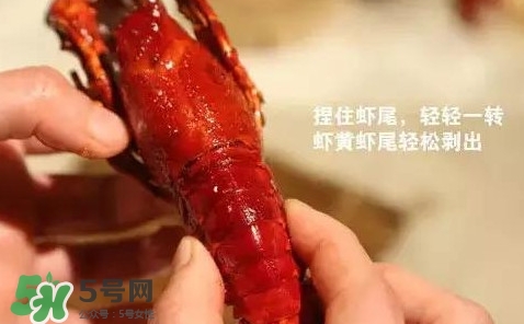 蝦子怎么吃？蝦子的吃法