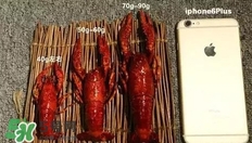 蝦子怎么吃？蝦子的吃法