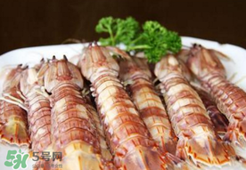蝦爬子是寒性的嗎？蝦爬子是熱性的還是寒性的？