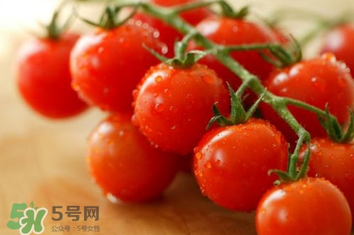 圣女果是小西紅柿嗎？圣女果和西紅柿的區(qū)別
