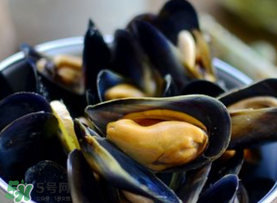 海虹里面的黑包能吃嗎？海虹里面的黑的能吃嗎？