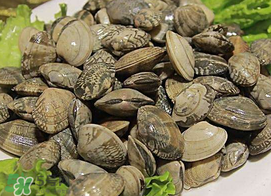 蜆子不能和什么一起吃？吃蜆子不能吃什么？