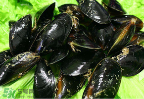 哪些人不適合吃淡菜？淡菜什么人不能吃？