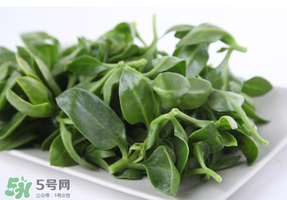 冰菜和穿心蓮是同一種菜嗎？冰菜和穿心蓮是一科嗎？