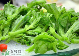 冰菜孕婦能吃嗎？孕婦能不能吃冰菜？