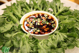 冰菜怎么涼拌？冰菜可以用沙拉醬拌嗎？