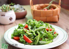 冰菜怎么涼拌？冰菜可以用沙拉醬拌嗎？