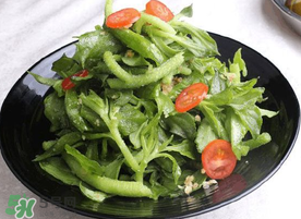 冰菜怎么涼拌？冰菜可以用沙拉醬拌嗎？