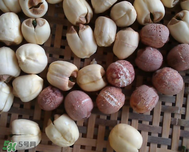 芡實(shí)不能和什么一起吃？芡實(shí)不能與什么同食？