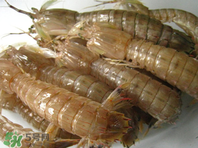 瀨尿蝦是皮皮蝦嗎？瀨尿蝦和皮皮蝦的區(qū)別