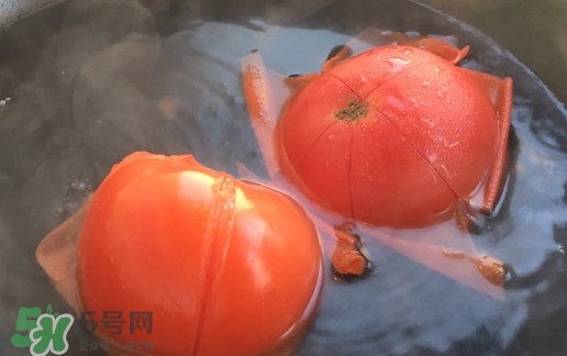 番茄怎么去皮？如何給番茄去皮