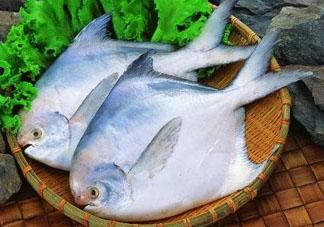 蠶豆和魚能一起吃嗎？蠶豆和魚吃相克嗎？