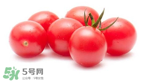 怎樣種植小番茄？小番茄怎么種