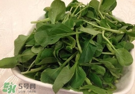 雞毛菜怎么做？雞毛菜的做法