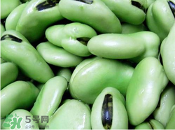 蠶豆和菠菜能一起吃嗎？蠶豆和菠菜能同吃嗎？