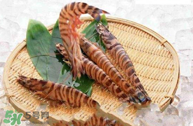 蝦爬子怎么扒皮？蝦爬子怎么剝殼？