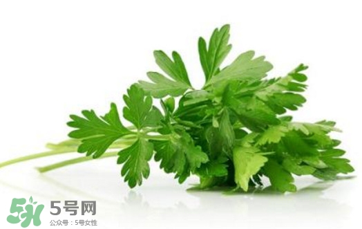 芹菜葉能吃嗎？芹菜葉可以吃嗎