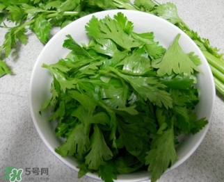 芹菜葉能吃嗎？芹菜葉可以吃嗎