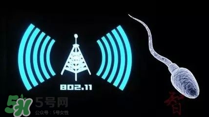 wifi殺精嗎？wifi殺精是真的嗎？