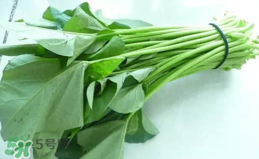 苕尖怎么炒？苕尖的做法