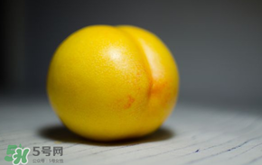 黃金油桃多少錢一斤？黃金油桃什么時候成熟？