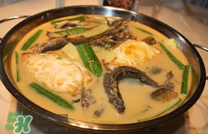 泥鰍怎么燒？泥鰍的吃法