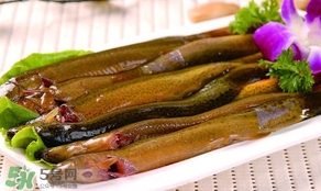 怎么處理泥鰍？泥鰍怎么處理干凈