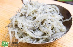 銀魚(yú)是面條魚(yú)嗎？面條魚(yú)和銀魚(yú)的區(qū)別