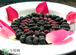 覆盆子是桑葚嗎？覆盆子和桑葚的區(qū)別