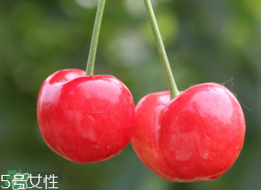 櫻桃籽有毒嗎？櫻桃籽能吃嗎？