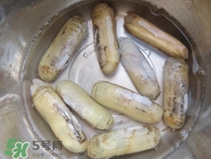 怎么樣讓蟶子吐沙？如何讓蟶子吐沙
