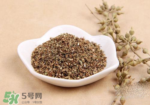 吃中藥可以吃魚？吃中藥吃魚會怎么樣？