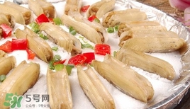 蟶子死了是什么樣子？死蟶子是什么樣子
