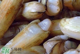 蟶子是海鮮嗎？蟶子是海鮮還是河鮮